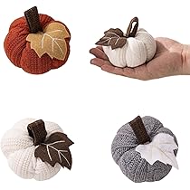 3/3まで　ebert　エバート　ハロウィンかぼちゃ　野菜セット　ドイツ　飾り 楽天市場】ハロウィン飾り かぼちゃ 7個セット ハロウィーン